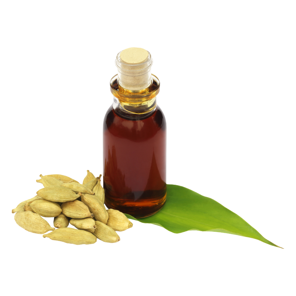 Cardamom Oil