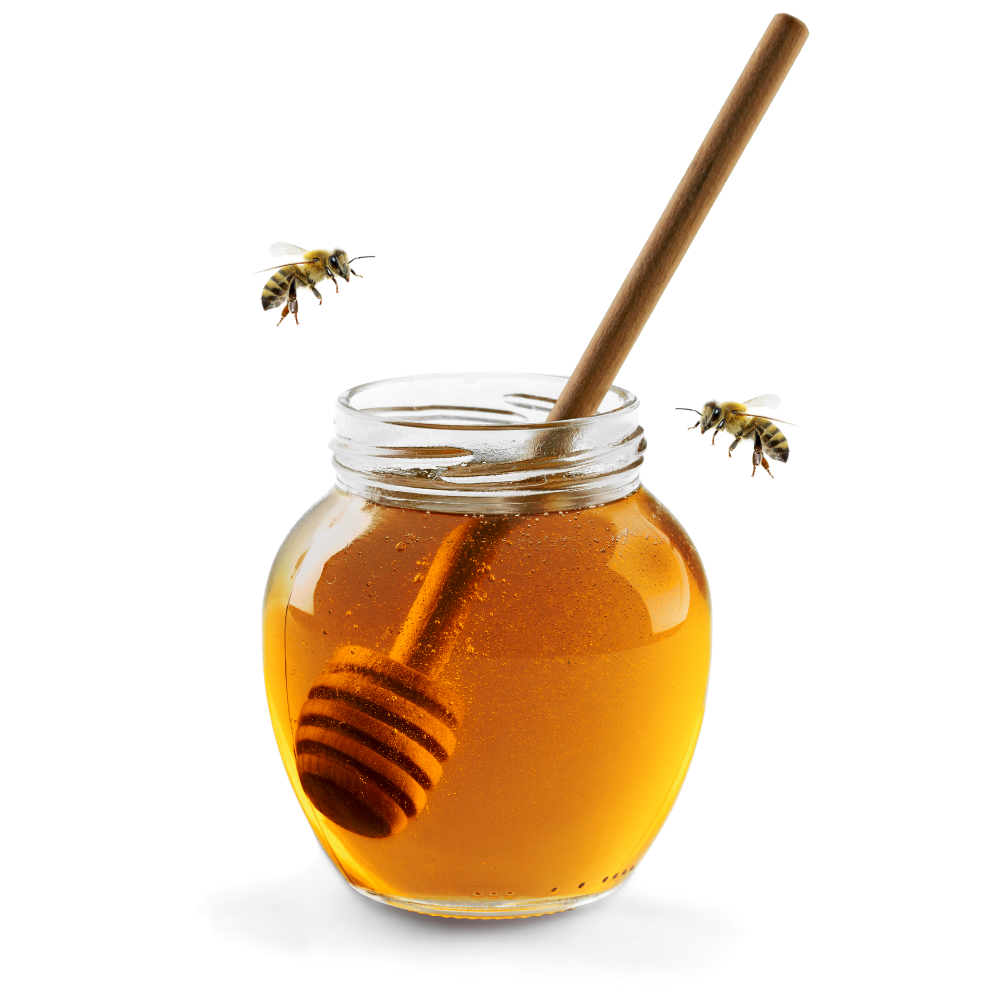 Organic Honey